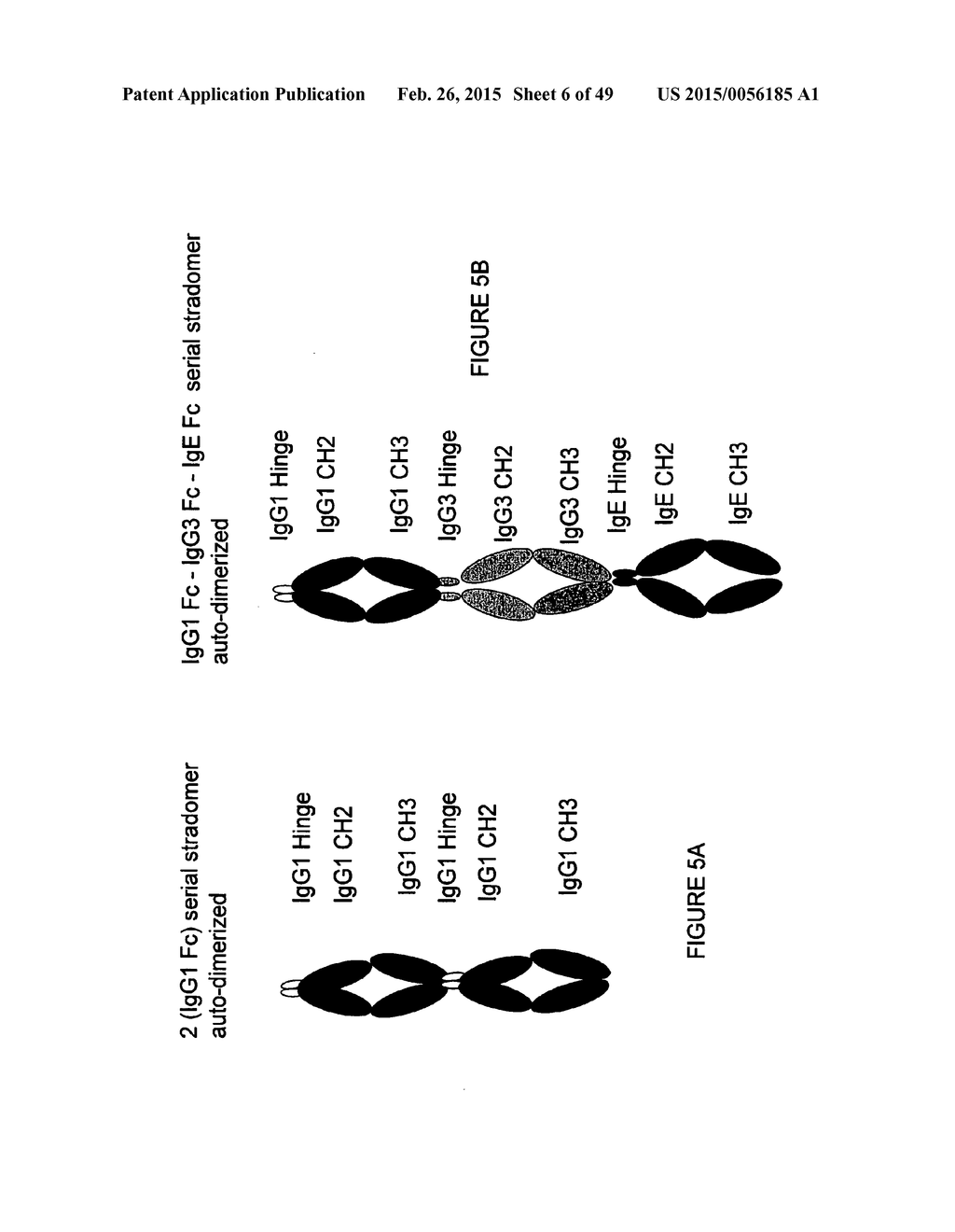 IMMUNOGLOBULIN CONSTANT REGION FC RECEPTOR BINDING AGENTS - diagram, schematic, and image 07