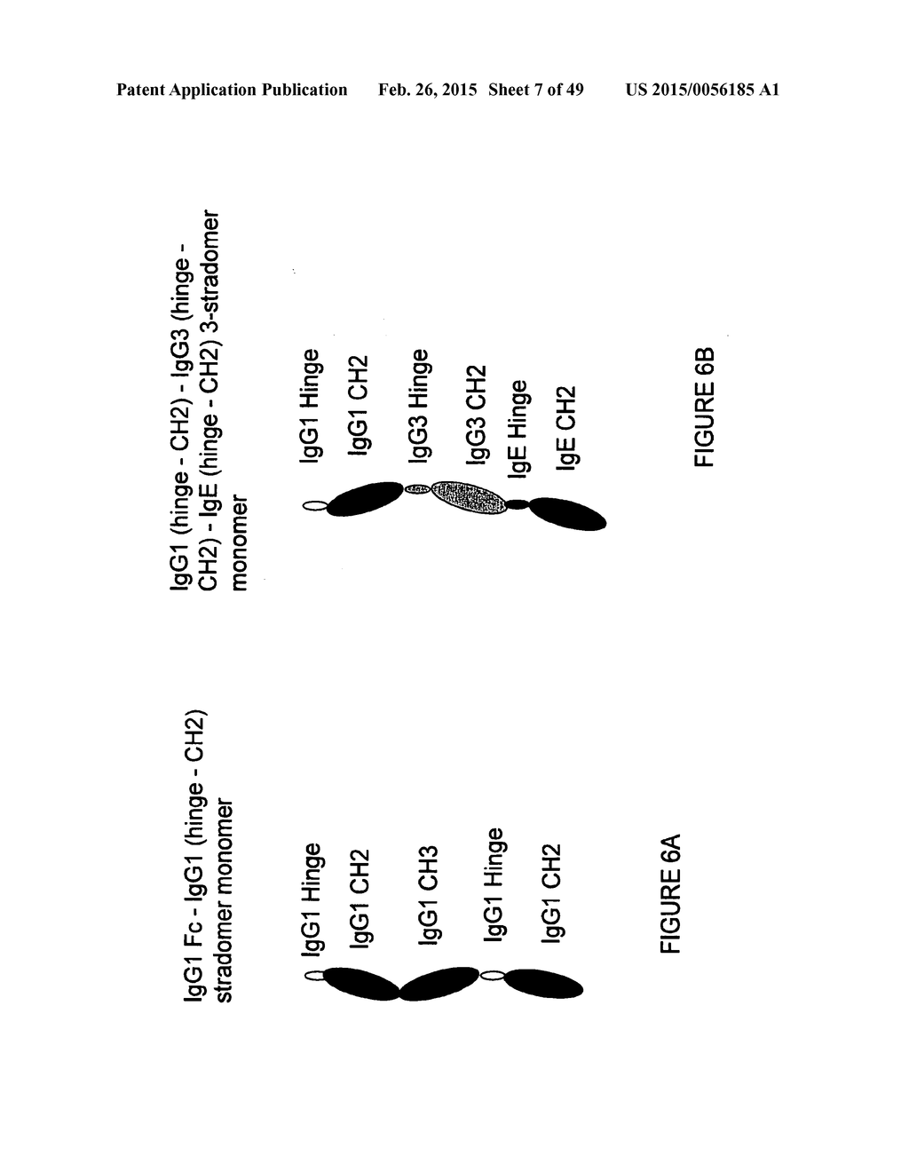 IMMUNOGLOBULIN CONSTANT REGION FC RECEPTOR BINDING AGENTS - diagram, schematic, and image 08