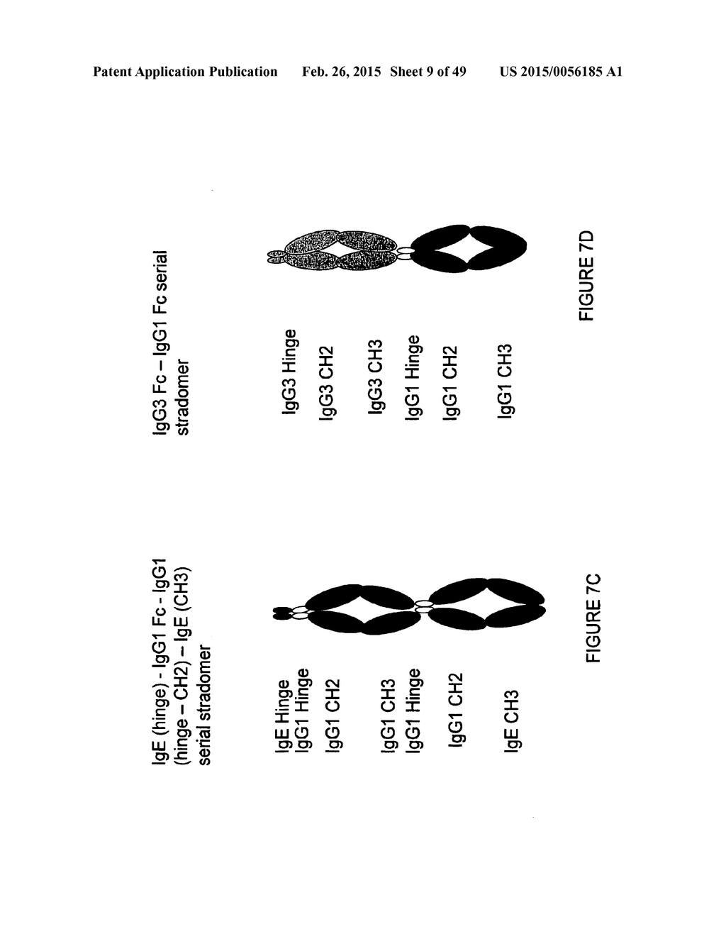 IMMUNOGLOBULIN CONSTANT REGION FC RECEPTOR BINDING AGENTS - diagram, schematic, and image 10