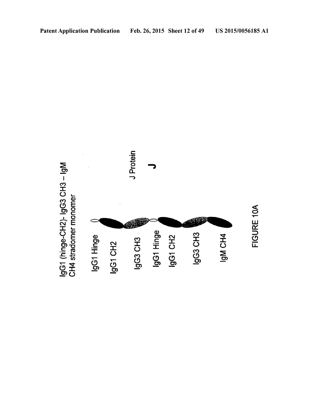 IMMUNOGLOBULIN CONSTANT REGION FC RECEPTOR BINDING AGENTS - diagram, schematic, and image 13