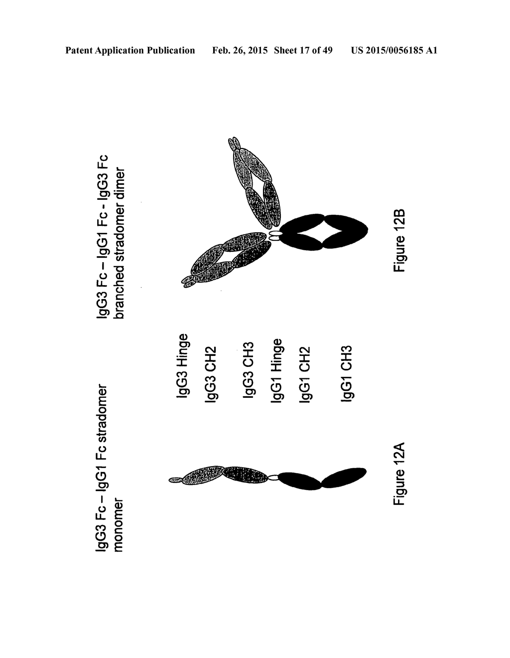 IMMUNOGLOBULIN CONSTANT REGION FC RECEPTOR BINDING AGENTS - diagram, schematic, and image 18