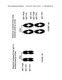 IMMUNOGLOBULIN CONSTANT REGION FC RECEPTOR BINDING AGENTS diagram and image