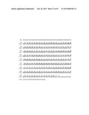 IMMUNOGLOBULIN CONSTANT REGION FC RECEPTOR BINDING AGENTS diagram and image