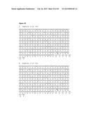 IMMUNOGLOBULIN CONSTANT REGION FC RECEPTOR BINDING AGENTS diagram and image