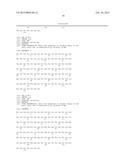 COMBINATION THERAPY OF A TYPE II ANTI-CD20 ANTIBODY WITH AN ANTI-BCL-2     ACTIVE AGENT diagram and image