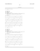 COMBINATION THERAPY OF A TYPE II ANTI-CD20 ANTIBODY WITH AN ANTI-BCL-2     ACTIVE AGENT diagram and image