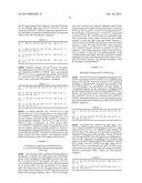 ANTI-TNF/IL-17 DUAL VARIABLE DOMAIN IMMUNOGLOBULIN AND USES THEREOF diagram and image