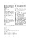 ANTI-TNF/IL-17 DUAL VARIABLE DOMAIN IMMUNOGLOBULIN AND USES THEREOF diagram and image