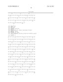 ANTI-TNF/IL-17 DUAL VARIABLE DOMAIN IMMUNOGLOBULIN AND USES THEREOF diagram and image