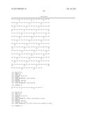 ANTI-TNF/IL-17 DUAL VARIABLE DOMAIN IMMUNOGLOBULIN AND USES THEREOF diagram and image