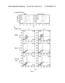 METHODS OF TREATING PROLIFERATIVE DISORDERS WITH MALATE OR DERIVATIVES     THEREOF diagram and image