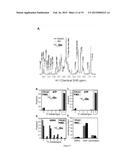 METHODS OF TREATING PROLIFERATIVE DISORDERS WITH MALATE OR DERIVATIVES     THEREOF diagram and image