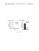 METHODS OF TREATING PROLIFERATIVE DISORDERS WITH MALATE OR DERIVATIVES     THEREOF diagram and image