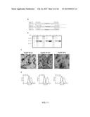 RECOMBINANT PAPAYA MOSAIC VIRUS COAT PROTEINS AND USES THEREOF IN     INFLUENZA VACCINES diagram and image