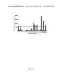 RECOMBINANT PAPAYA MOSAIC VIRUS COAT PROTEINS AND USES THEREOF IN     INFLUENZA VACCINES diagram and image