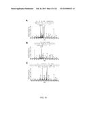 RECOMBINANT PAPAYA MOSAIC VIRUS COAT PROTEINS AND USES THEREOF IN     INFLUENZA VACCINES diagram and image