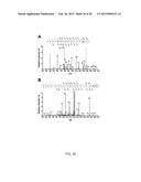 RECOMBINANT PAPAYA MOSAIC VIRUS COAT PROTEINS AND USES THEREOF IN     INFLUENZA VACCINES diagram and image