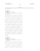 RECOMBINANT PAPAYA MOSAIC VIRUS COAT PROTEINS AND USES THEREOF IN     INFLUENZA VACCINES diagram and image