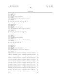 RECOMBINANT PAPAYA MOSAIC VIRUS COAT PROTEINS AND USES THEREOF IN     INFLUENZA VACCINES diagram and image