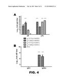 RECOMBINANT BACTERIUM FOR INDUCTION OF CELLULAR IMMUNE RESPONSE diagram and image