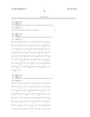 AN INFECTIOUS cDNA CLONE OF NORTH AMERICAN PORCINE REPRODUCTIVE AND     RESPIRATORY SYNDROME (PRRS) VIRUS AND USES THEREOF diagram and image