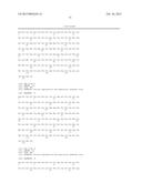 AN INFECTIOUS cDNA CLONE OF NORTH AMERICAN PORCINE REPRODUCTIVE AND     RESPIRATORY SYNDROME (PRRS) VIRUS AND USES THEREOF diagram and image