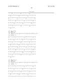 AN INFECTIOUS cDNA CLONE OF NORTH AMERICAN PORCINE REPRODUCTIVE AND     RESPIRATORY SYNDROME (PRRS) VIRUS AND USES THEREOF diagram and image