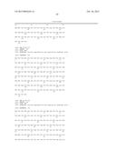 AN INFECTIOUS cDNA CLONE OF NORTH AMERICAN PORCINE REPRODUCTIVE AND     RESPIRATORY SYNDROME (PRRS) VIRUS AND USES THEREOF diagram and image