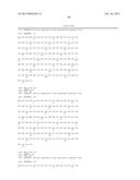 AN INFECTIOUS cDNA CLONE OF NORTH AMERICAN PORCINE REPRODUCTIVE AND     RESPIRATORY SYNDROME (PRRS) VIRUS AND USES THEREOF diagram and image