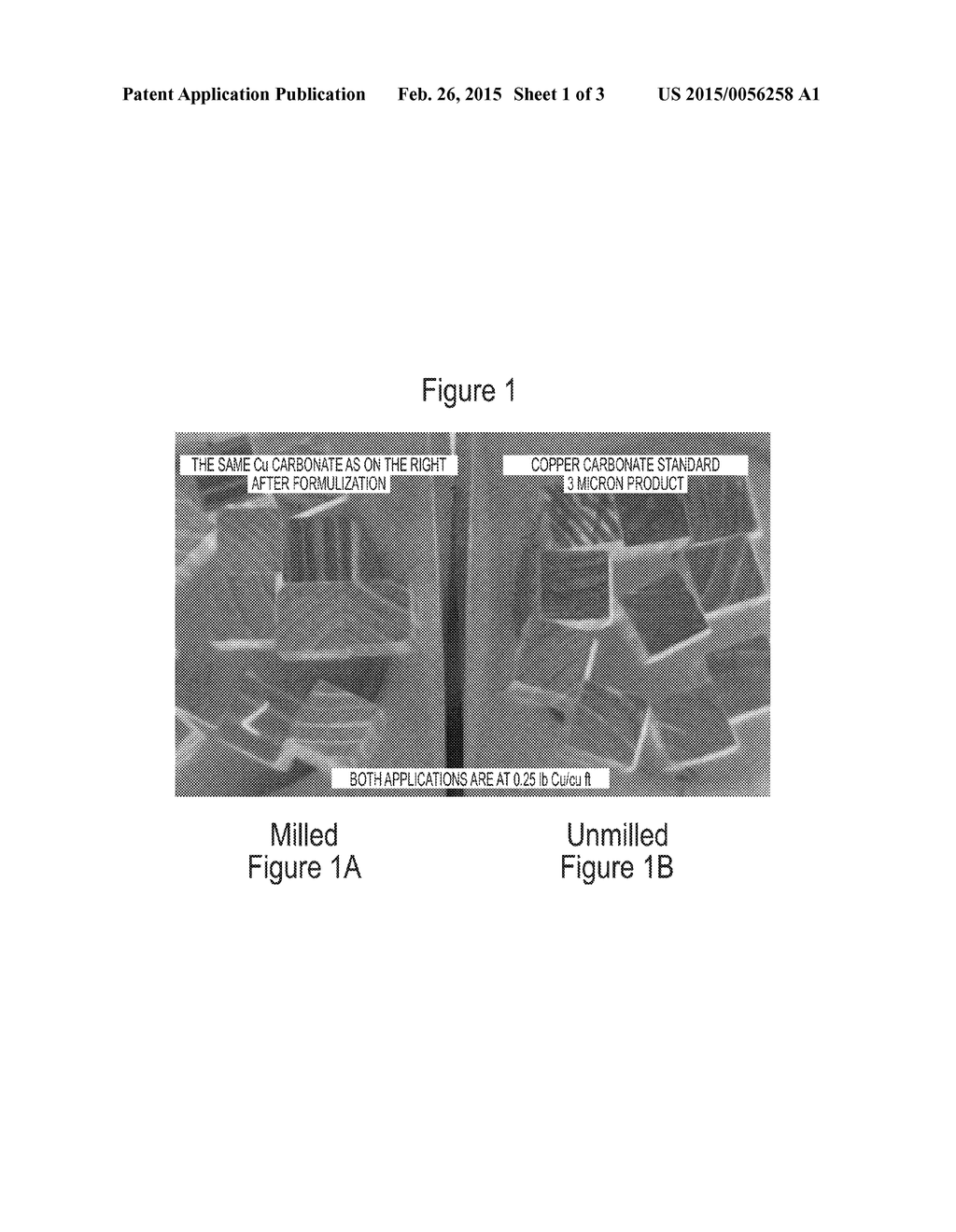 PARTICULATE WOOD PRESERVATIVE AND METHOD FOR PRODUCING SAME - diagram, schematic, and image 02