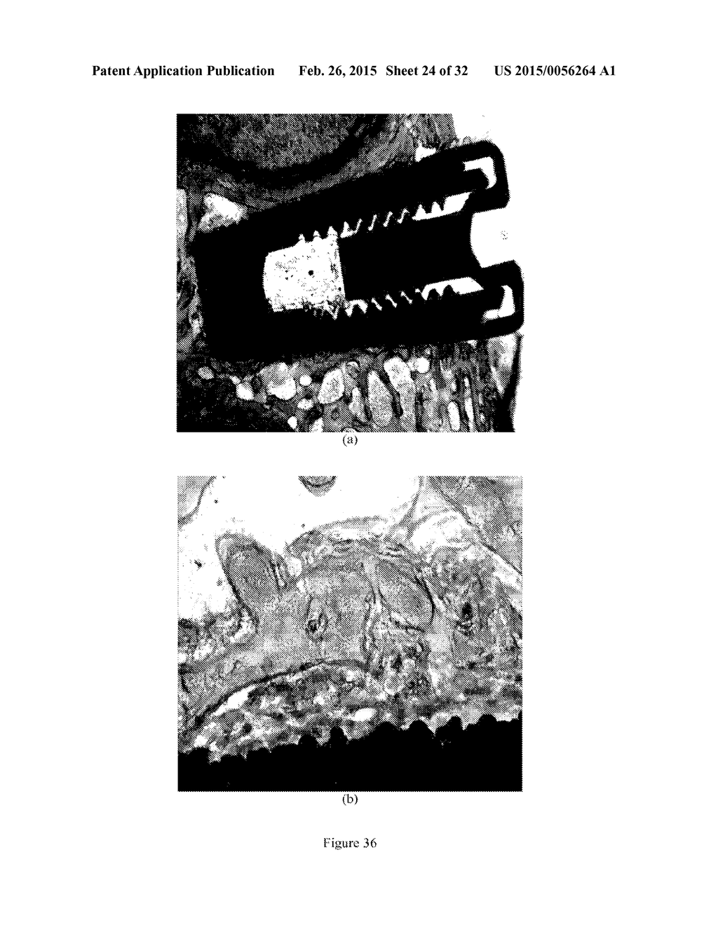 Coating and Coating Method - diagram, schematic, and image 25