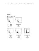 ANGIOGENESIS INHIBITORS diagram and image