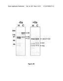 COMPOSITIONS AND METHODS FOR ENHANCING COAGULATION FACTOR VIII FUNCTION diagram and image