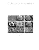 SILK NANOSPHERES AND MICROSPHERES AND METHODS OF MAKING SAME diagram and image