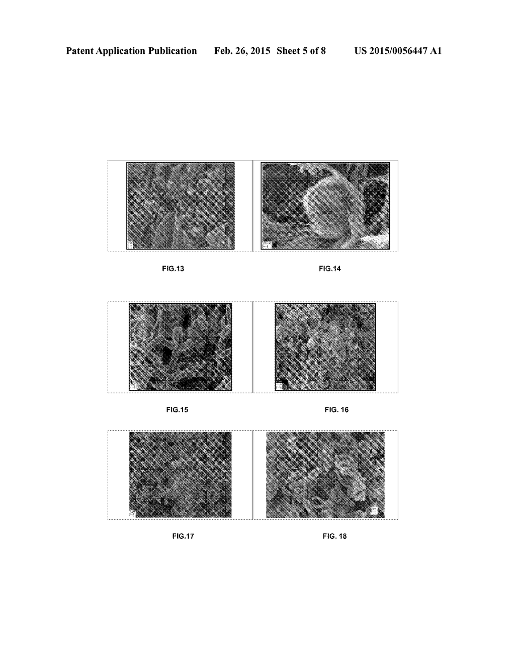 ENHANCING THE ADHESION OR ATTACHMENT OF CARBON NANOTUBES TO THE SURFACE OF     A MATERIAL VIA A CARBON LAYER - diagram, schematic, and image 06