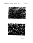 PROCESS FOR PROVIDING A TOPOGRAPHY TO THE SURFACE OF A DENTAL IMPLANT diagram and image