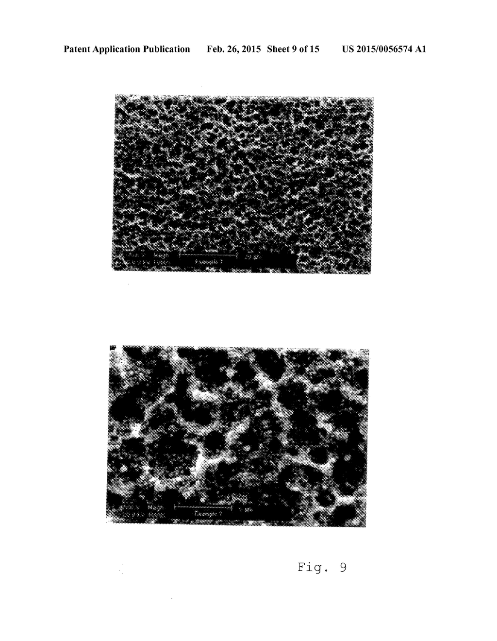 PROCESS FOR PROVIDING A TOPOGRAPHY TO THE SURFACE OF A DENTAL IMPLANT - diagram, schematic, and image 10