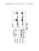 ISOLATION OF FACTORS THAT ASSOCIATE DIRECTLY OR INDIRECTLY WITH NON-CODING     RNAS diagram and image