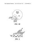 ISOLATION OF FACTORS THAT ASSOCIATE DIRECTLY OR INDIRECTLY WITH NON-CODING     RNAS diagram and image