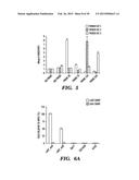 ISOLATION OF FACTORS THAT ASSOCIATE DIRECTLY OR INDIRECTLY WITH NON-CODING     RNAS diagram and image