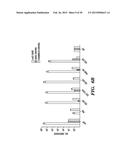 ISOLATION OF FACTORS THAT ASSOCIATE DIRECTLY OR INDIRECTLY WITH NON-CODING     RNAS diagram and image