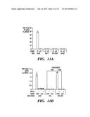 ISOLATION OF FACTORS THAT ASSOCIATE DIRECTLY OR INDIRECTLY WITH NON-CODING     RNAS diagram and image