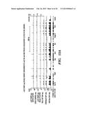 ISOLATION OF FACTORS THAT ASSOCIATE DIRECTLY OR INDIRECTLY WITH NON-CODING     RNAS diagram and image