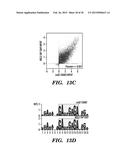 ISOLATION OF FACTORS THAT ASSOCIATE DIRECTLY OR INDIRECTLY WITH NON-CODING     RNAS diagram and image