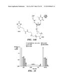 ISOLATION OF FACTORS THAT ASSOCIATE DIRECTLY OR INDIRECTLY WITH NON-CODING     RNAS diagram and image