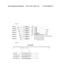 DNA CONTROLLING MIR-140 EXPRESSION, AND SCREENING METHOD OF DRUGS USING     SAID DNA diagram and image