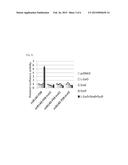 DNA CONTROLLING MIR-140 EXPRESSION, AND SCREENING METHOD OF DRUGS USING     SAID DNA diagram and image