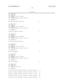 DNA CONTROLLING MIR-140 EXPRESSION, AND SCREENING METHOD OF DRUGS USING     SAID DNA diagram and image