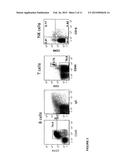 Transgenic Immunodeficient Mouse Expressing Human SIRP-alpha diagram and image