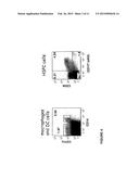 Transgenic Immunodeficient Mouse Expressing Human SIRP-alpha diagram and image